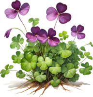 AI generated Watercolor painting of the Purple Shamrock plant. png