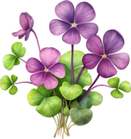 AI generated Watercolor painting of the Purple Shamrock plant. png