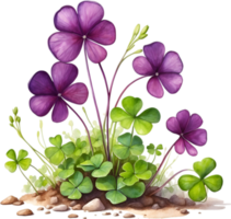 AI generated Watercolor painting of the Purple Shamrock plant. png