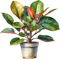 AI generated Watercolor painting of the Variegated Rubber Plant. png