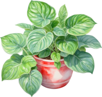 AI generated Watercolor painting of the Watermelon Peperomia Plant. png