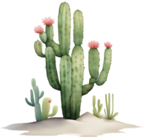 AI generated Watercolor painting of a cute Desert Cactus. png