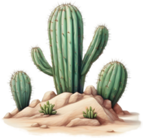 ai généré aquarelle La peinture de une mignonne désert cactus. png