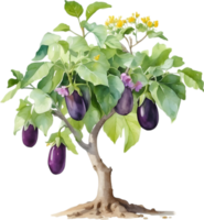 ai gegenereerd aubergine boom, waterverf schilderij van een aubergine boom. png