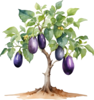 AI generated Eggplant tree, watercolor painting of an eggplant tree. png