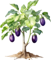 ai généré aubergine arbre, aquarelle La peinture de un aubergine arbre. png