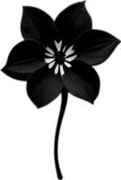 AI generated Nightshade Flowers, Close-up painting of Nightshade Flowers. png