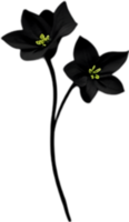 AI generated Nightshade Flowers, Close-up painting of Nightshade Flowers. png