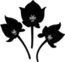 ai generiert Nachtschatten Blumen, Nahansicht Gemälde von Nachtschatten Blumen. png