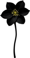 ai généré morelle noire fleurs, fermer La peinture de morelle noire fleurs. png