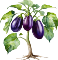 AI generated Eggplant tree, watercolor painting of an eggplant tree. png