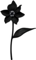 AI generated Nightshade Flowers, Close-up painting of Nightshade Flowers. png