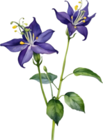 AI generated Nightshade Flowers, Close-up painting of Nightshade Flowers. png