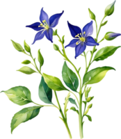 AI generated Nightshade Flowers, Close-up painting of Nightshade Flowers. png