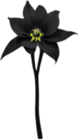ai généré morelle noire fleurs, fermer La peinture de morelle noire fleurs. png
