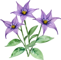 AI generated Nightshade Flowers, Close-up painting of Nightshade Flowers. png