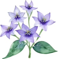 AI generated Nightshade Flowers, Close-up painting of Nightshade Flowers. png