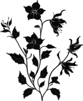 ai generiert Nachtschatten Blumen, Nahansicht Gemälde von Nachtschatten Blumen. png