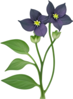 AI generated Nightshade Flowers, Close-up painting of Nightshade Flowers. png