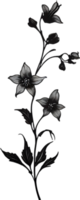 AI generated Nightshade Flowers, Close-up painting of Nightshade Flowers. png