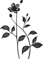 AI generated Nightshade Flowers, Close-up painting of Nightshade Flowers. png