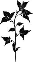 AI generated Nightshade Flowers, Close-up painting of Nightshade Flowers. png