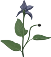 AI generated Nightshade Flowers, Close-up painting of Nightshade Flowers. png