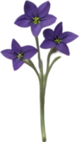 AI generated Nightshade Flowers, Close-up painting of Nightshade Flowers. png