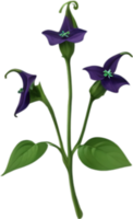 AI generated Nightshade Flowers, Close-up painting of Nightshade Flowers. png