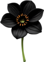 ai généré morelle noire fleurs, fermer La peinture de morelle noire fleurs. png