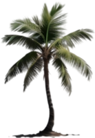 AI generated Palm Tree on an Island icon, a close-up painting of a Palm Tree on an Island. png