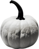 AI generated Pumpkin icon, a close-up painting of a pumpkin. png