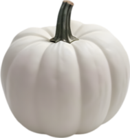 AI generated Pumpkin icon, a close-up painting of a pumpkin. png