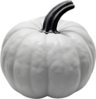 AI generated Pumpkin icon, a close-up painting of a pumpkin. png