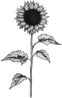 ai generiert Sonnenblume Symbol, ein Nahansicht Gemälde von ein Sonnenblume. png