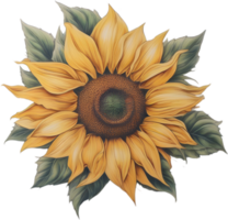 AI generated Sunflower icon, a close-up painting of a Sunflower. png