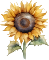 ai generiert Sonnenblume Symbol, ein Nahansicht Gemälde von ein Sonnenblume. png