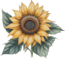 AI generated Sunflower icon, a close-up painting of a Sunflower. png