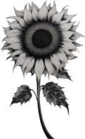 ai generiert Sonnenblume Symbol, ein Nahansicht Gemälde von ein Sonnenblume. png