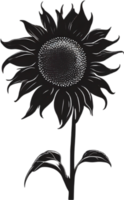 ai generiert Sonnenblume Symbol, ein Nahansicht Gemälde von ein Sonnenblume. png