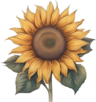 AI generated Sunflower icon, a close-up painting of a Sunflower. png