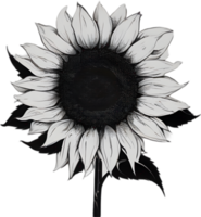 AI generated Sunflower icon, a close-up painting of a Sunflower. png