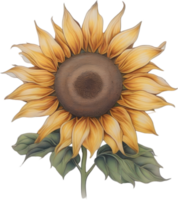 AI generated Sunflower icon, a close-up painting of a Sunflower. png