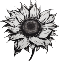 AI generated Sunflower icon, a close-up painting of a Sunflower. png