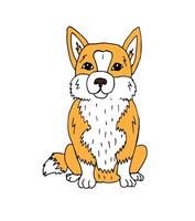 Vector hand drawn doodle sketch corgi dog