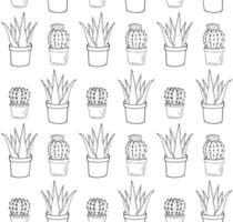 Seamless pattern of doodle aloe and cacti vector