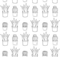 Seamless pattern of doodle aloe and cacti vector