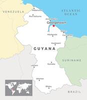 Guyana Political Map with capital Georgetown, most important cities with national borders vector