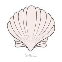 shell vector illustration