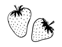 Doodle strawberry vector illustration. Black hand drawn abstract fruit with leaves. Sketch berry drawing